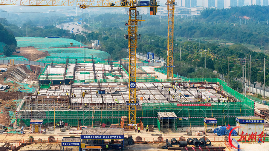 梅溪湖木棉中学加速建设