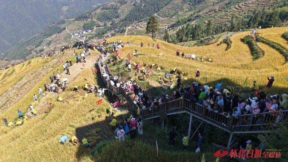溆浦山背梯田农耕竞技激活乡村文旅