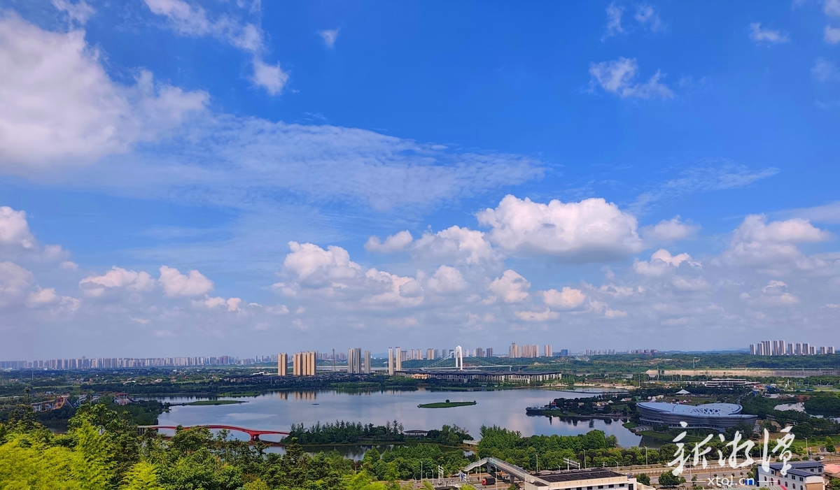 乌雕现身湘潭引网友热议 好空气助力观鸟赏秋