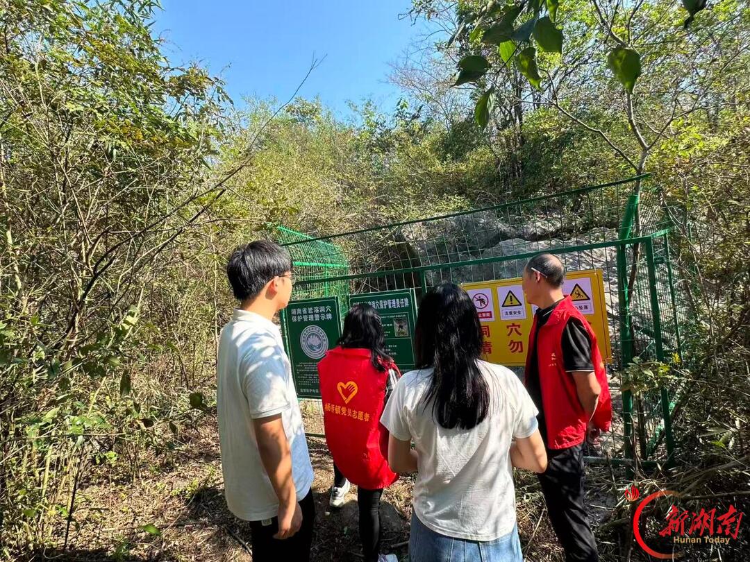 邵东市杨桥镇:党建赋能“三向发力” 守护青山蓝天净土