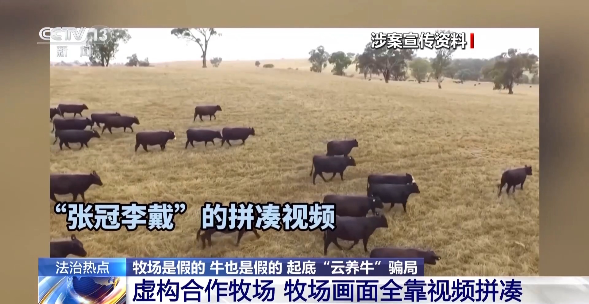 法治在线丨12万人被骗5.6亿 起底“云养牛”骗局