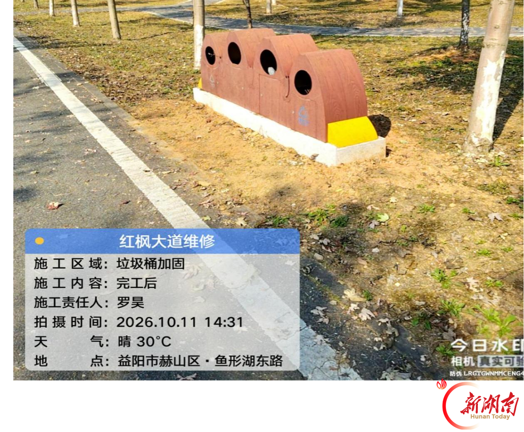 益阳：十里沐红枫焕新颜，让赏枫之旅更舒心