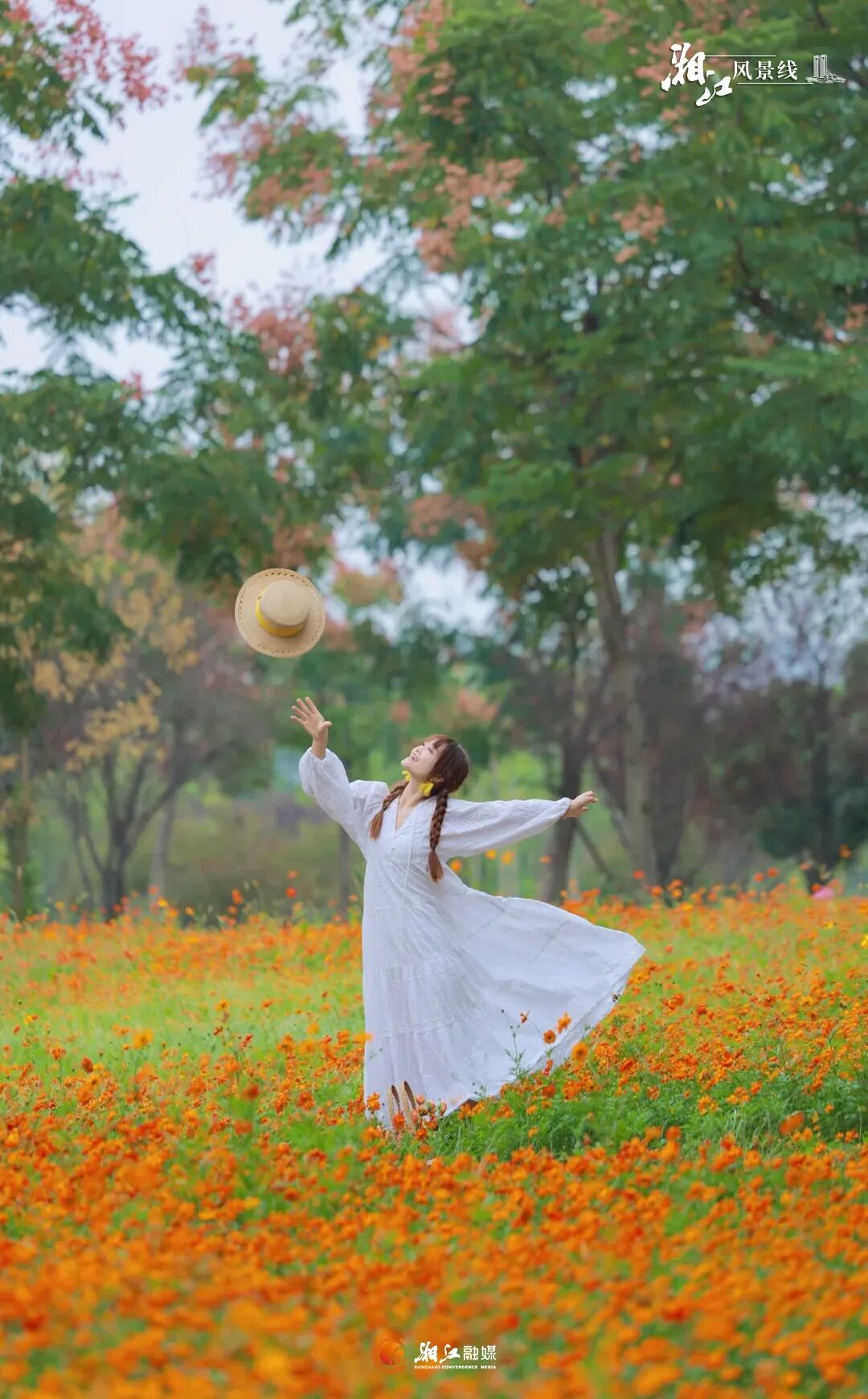 湖南秋色，邀你赏花赏叶赏“秋香”