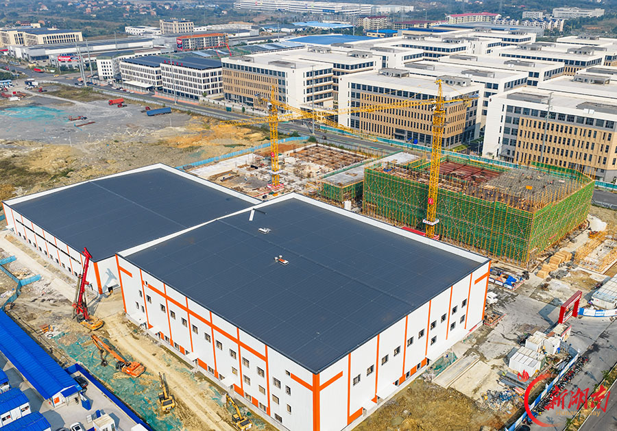 冷链物流项目建设刷新“进度条”