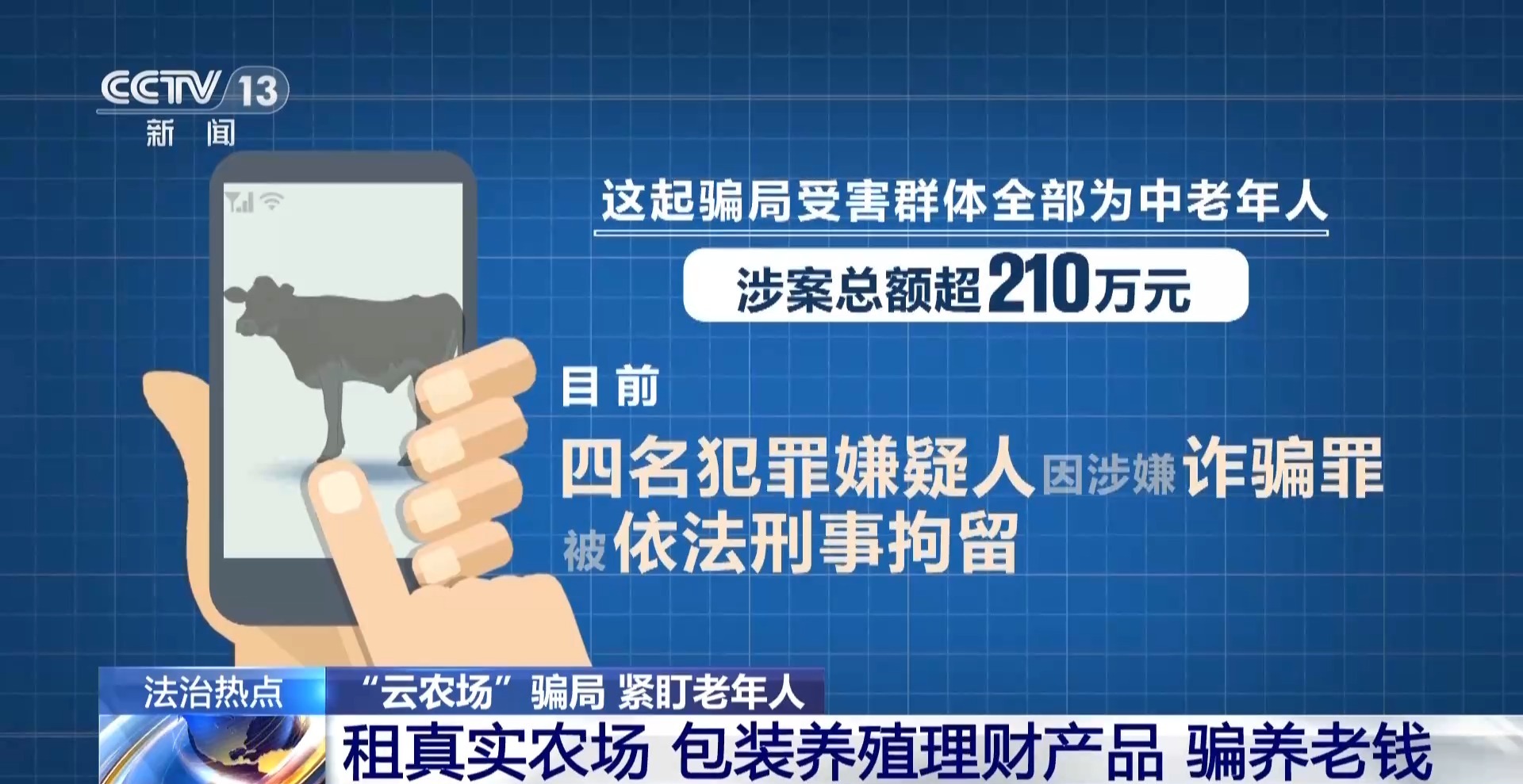 法治在线丨12万人被骗5.6亿 起底“云养牛”骗局
