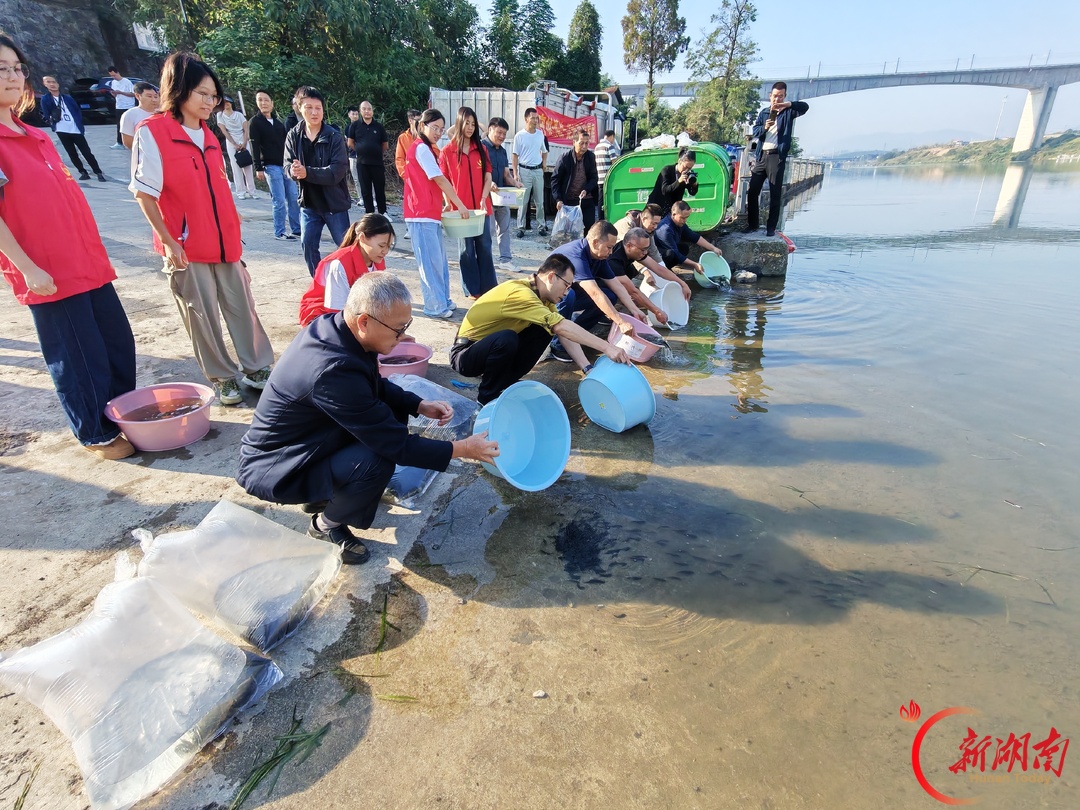 鹤城区联合公益小雷锋 放流80万尾鱼苗入㵲水河