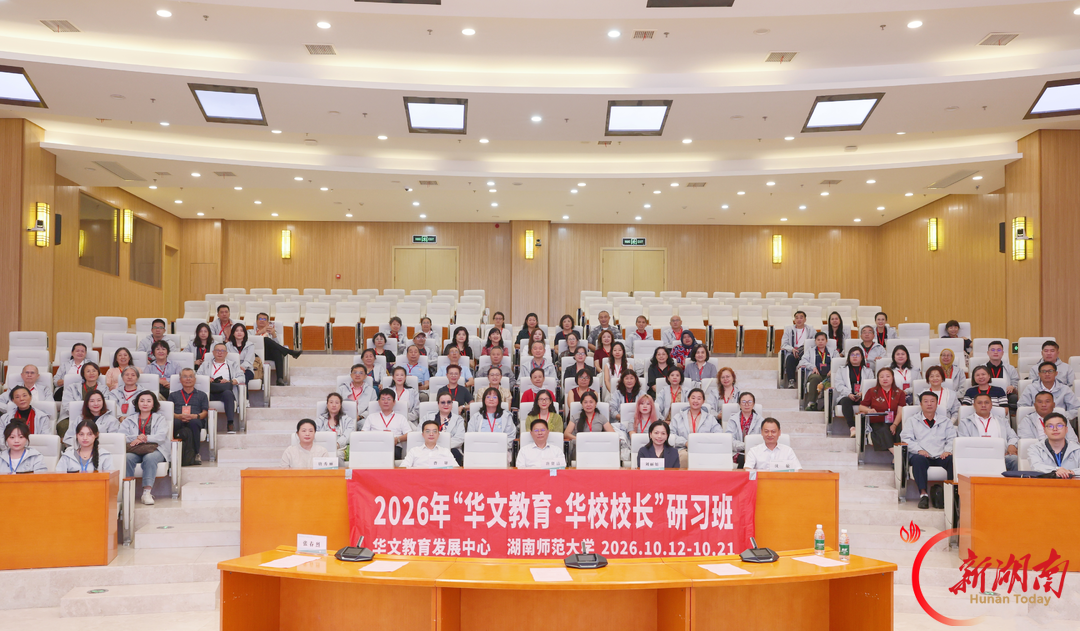 智能时代,中华语言文化海外传承如何破局?