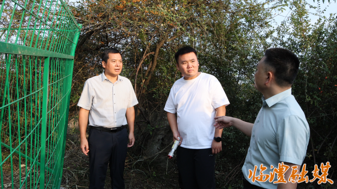 临澧:李雨初督导生态环境保护工作