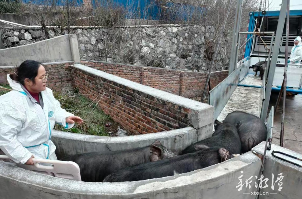 乡村兴业“握指成拳”奏凯歌——湘潭市持续巩固提升长效机制助推乡村特色产业发展