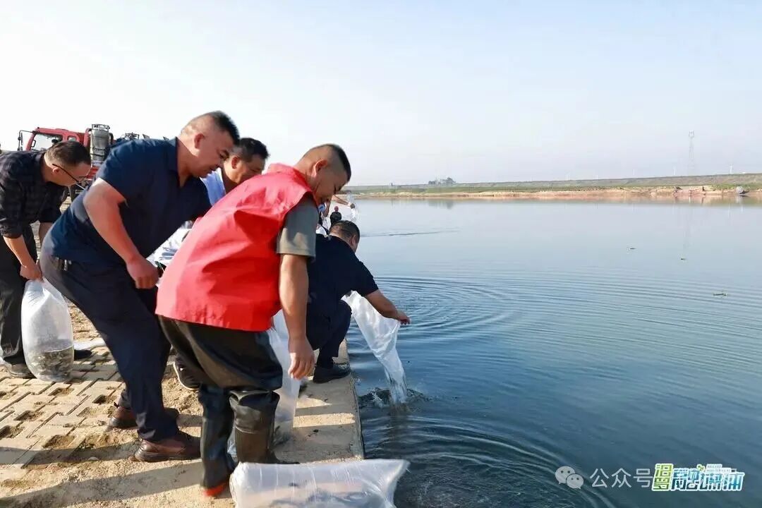 汨罗市开展2026年水生生物增殖放流活动， 87万尾鱼苗“安家”汨罗江
