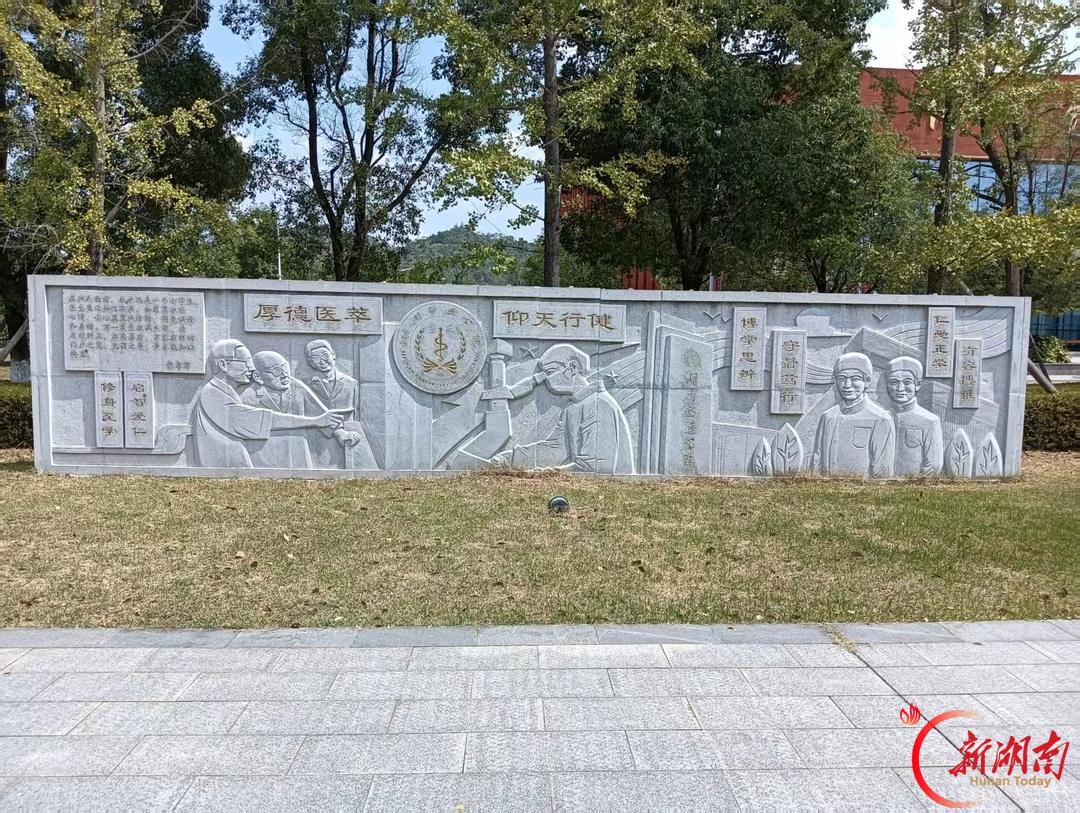医学生·开学季|我的学医“新起点”(183)回望前辈身影,找准学医的方向
