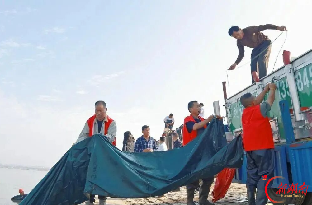 汨罗市开展2026年水生生物增殖放流活动， 87万尾鱼苗“安家”汨罗江