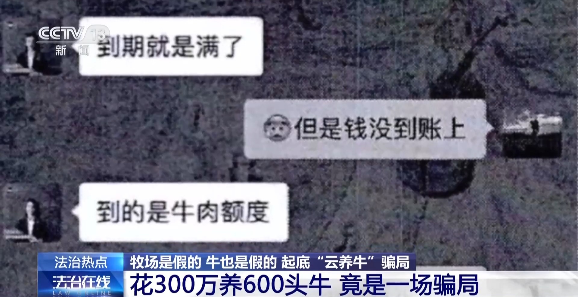 法治在线丨12万人被骗5.6亿 起底“云养牛”骗局