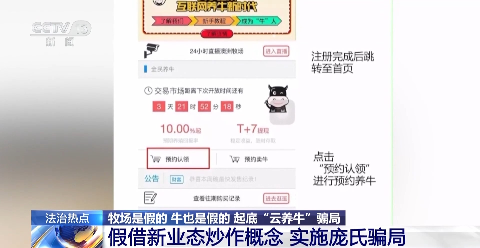 法治在线丨12万人被骗5.6亿 起底“云养牛”骗局