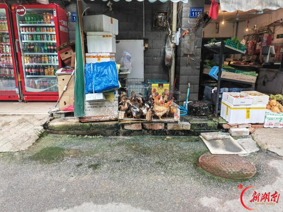 异味扰民“清零”！桂庄社区专项整治生鲜店环境卫生