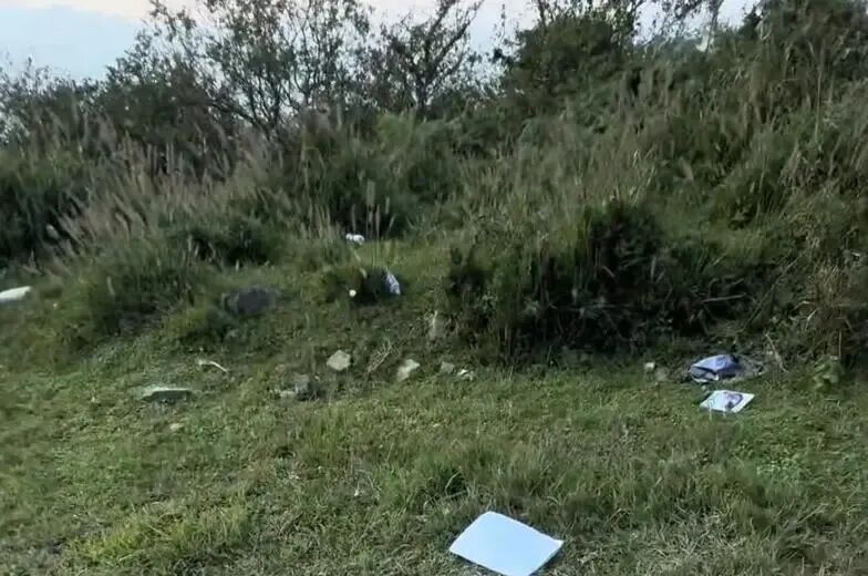 加拿大鹅致歉