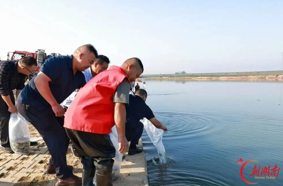 汨罗市开展2026年水生生物增殖放流活动， 87万尾鱼苗“安家”汨罗江