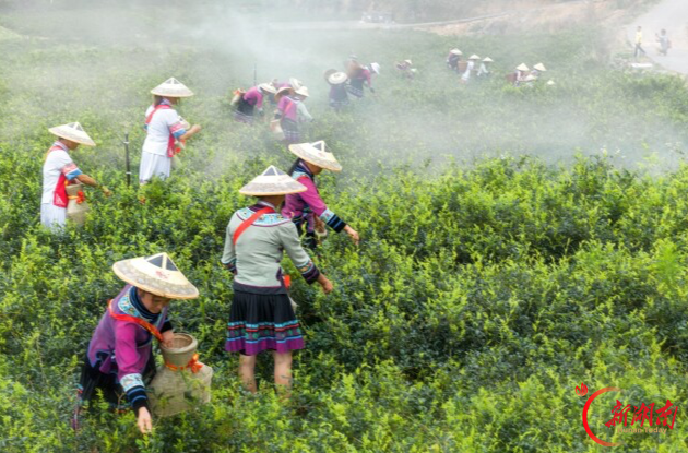 湖南4个系统入选全国重要农业文化遗产名录