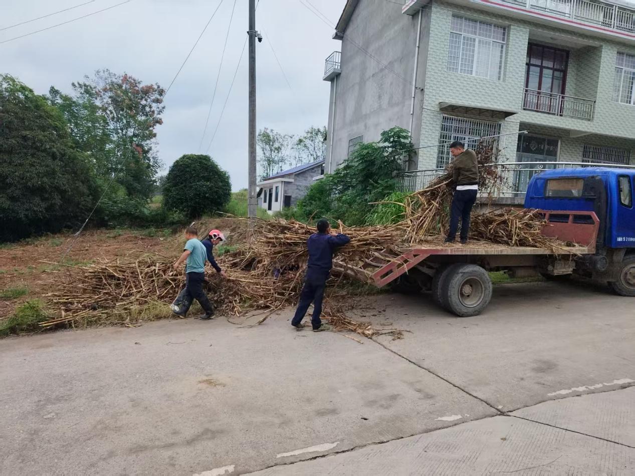 桃源九溪镇：疏堵并举 让秸秆“禁得住”更“用得好”