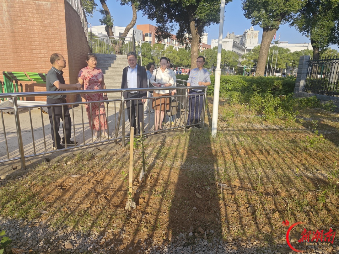 教育部专家组调研湘钢一中教育集团市十二中劳动教育