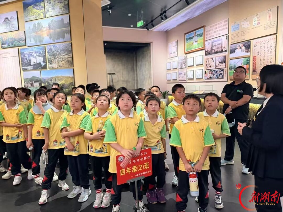 引才精准“画像” 用人唯才是举 洪江市着力破解县域人才“引用留”难题
