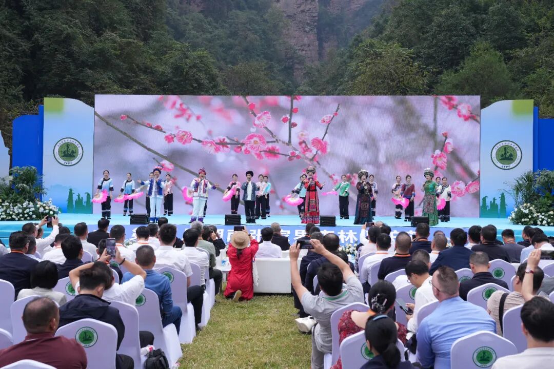 守护绿色家园 赋能红色沃土——第21届湖南张家界森林保护节开幕