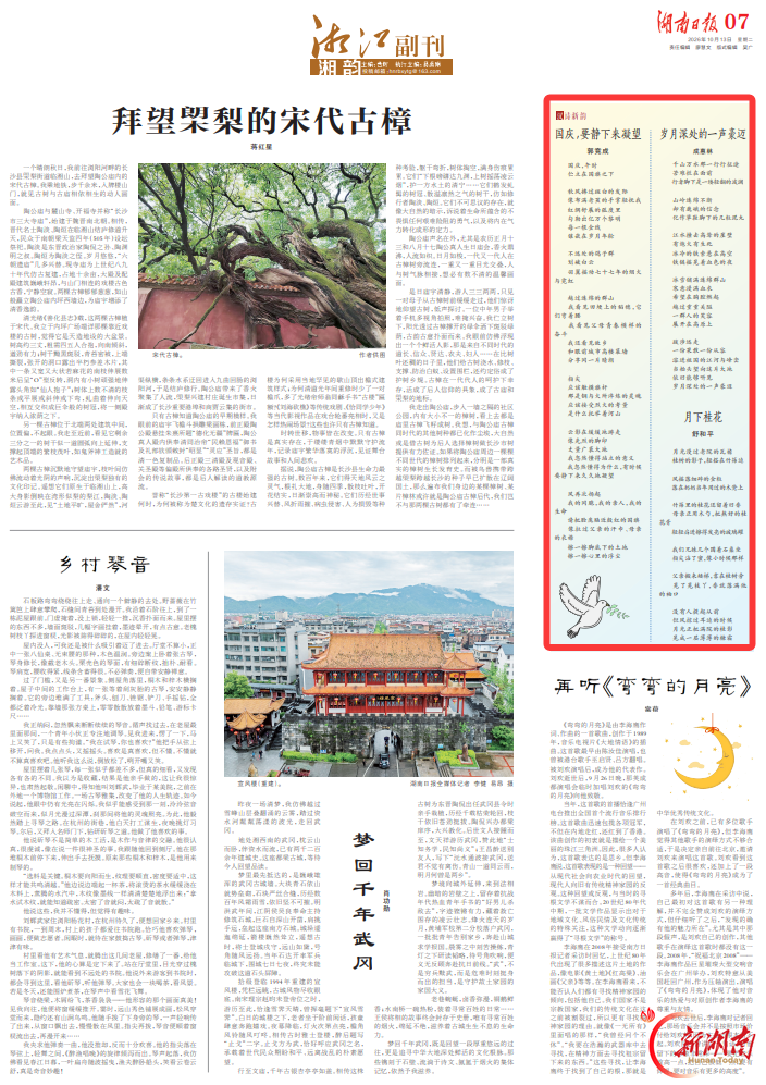 月下桂花丨湘江副刊·湘韵