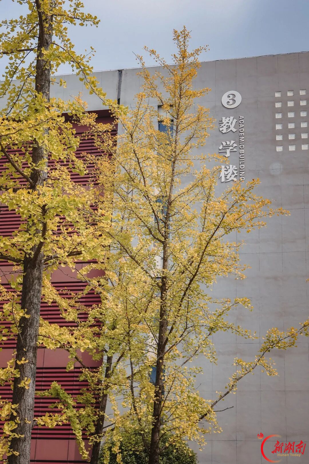 风携秋至！请查收湖南高校的秋日来信
