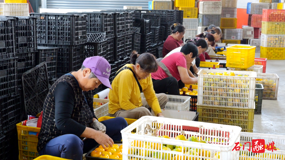 “点石成金”!石门盘活沉睡闲置资源,蹚出增收新路