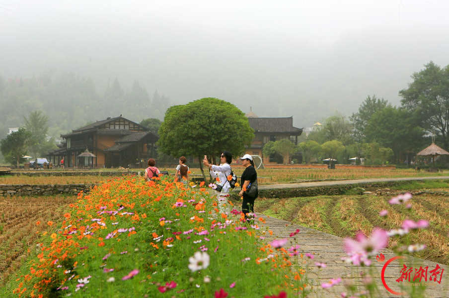 节后客流不降温!张家界黄龙洞错峰游持续火爆