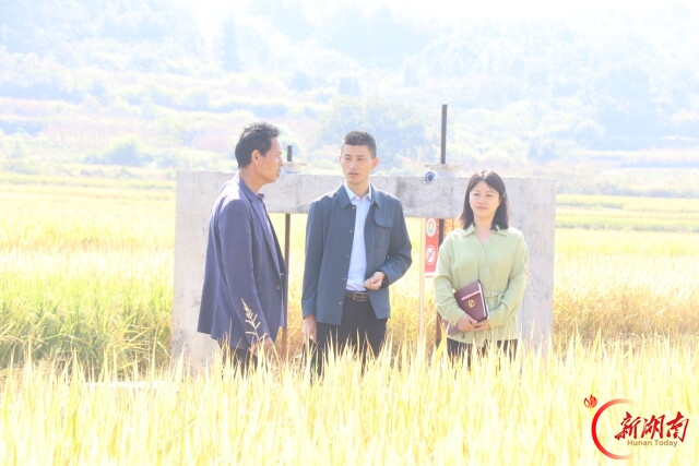 精准监督，疏通“断头渠”，守护“丰收田”