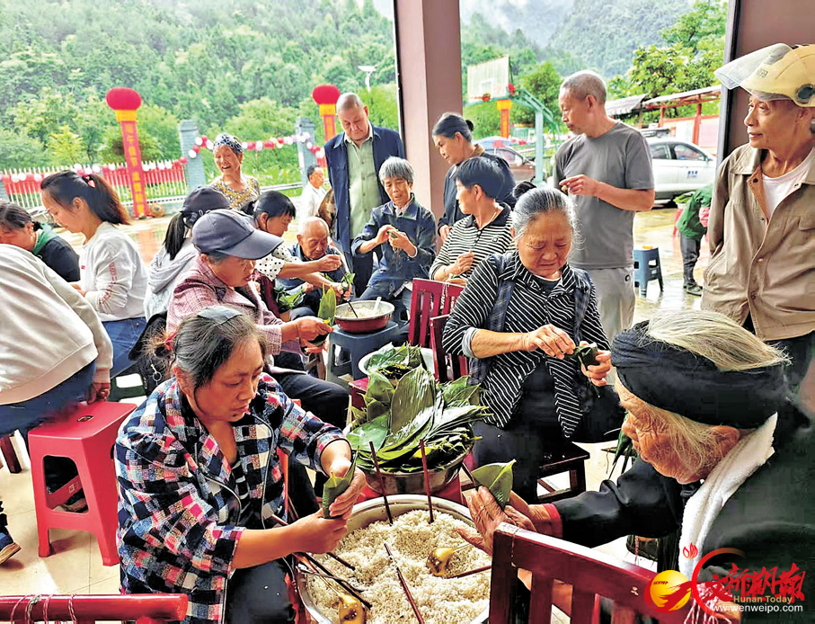 香港《文汇报》专版聚焦：老区桑植，何以让一片叶子“出海”？