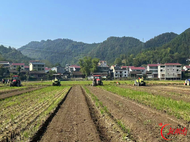 沅陵:抢抓秋冬农时 全面铺开油菜生产