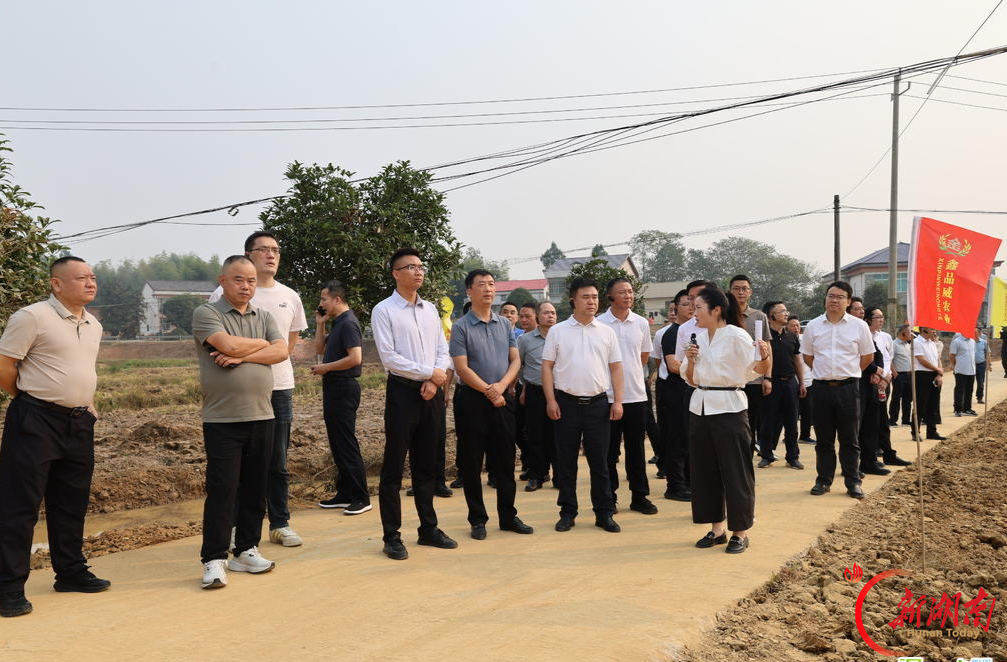 岳阳市2026年冬种冬修冬储暨高标准农田建设工作推进会在汨罗召开