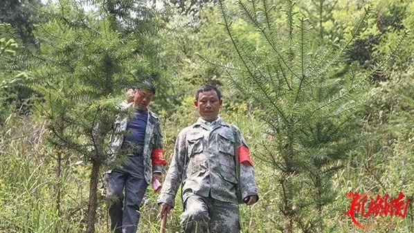 山有人管，林有人造，树有人护，责有人担‌‌  祁东县：落实林长责任制，筑牢生态屏障