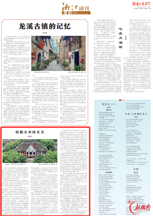 欲栽大木柱长天丨湘江副刊·湘韵