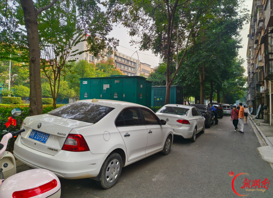 娄底市城管执法支队开展中心医院周边绿化带违停行为整治