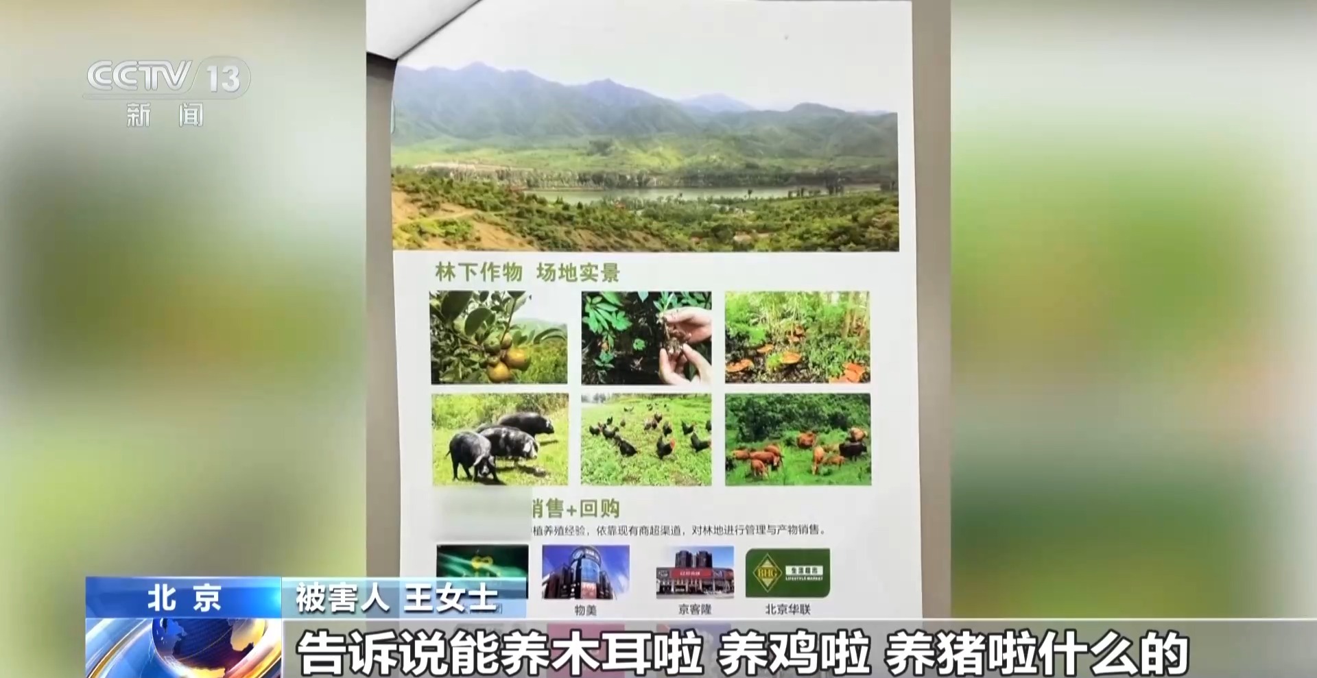 法治在线丨500多人被骗1.6亿余元 起底项目投资骗局