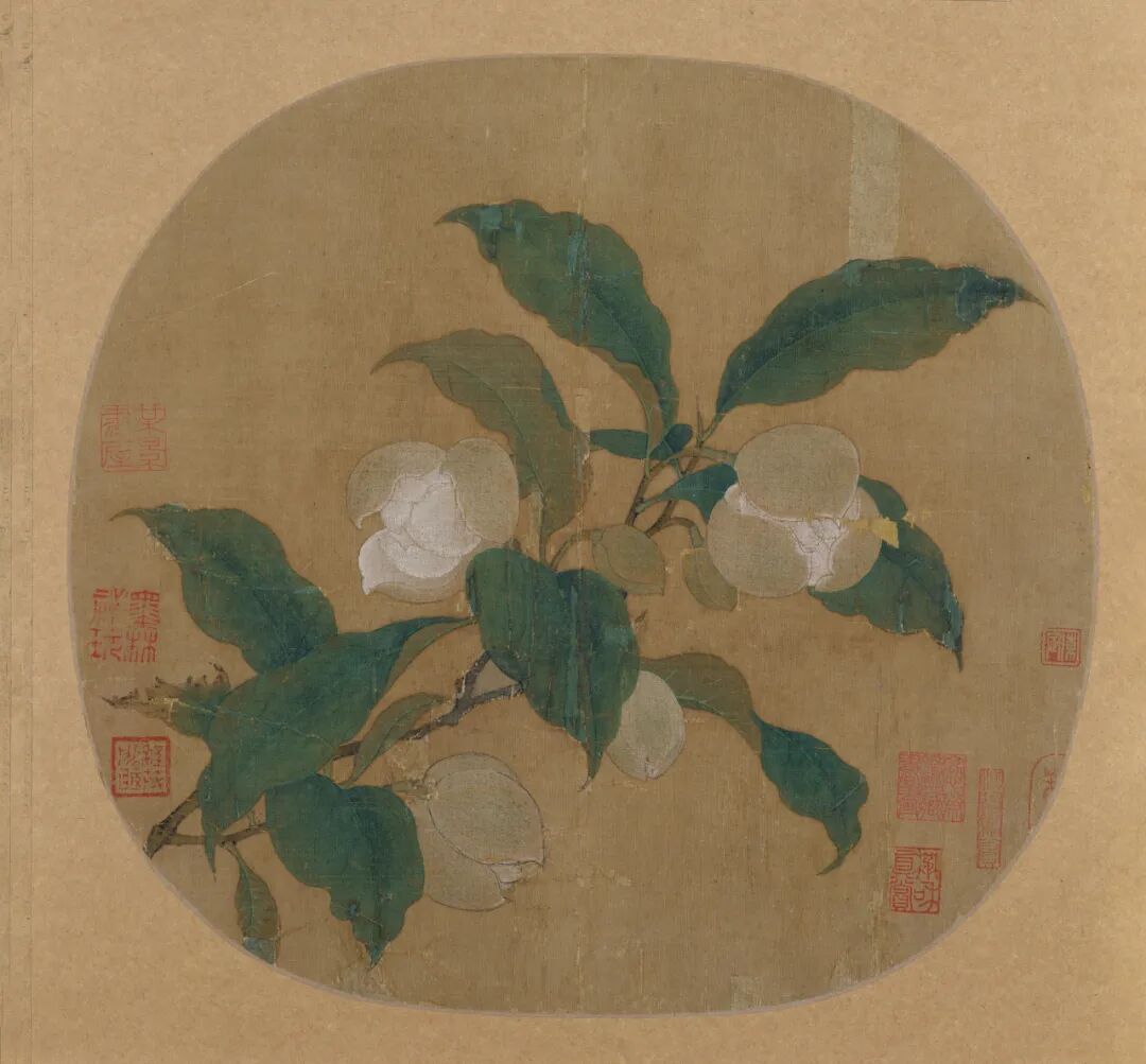 明代徐光启像与郑板桥杂记,新展上博书画馆