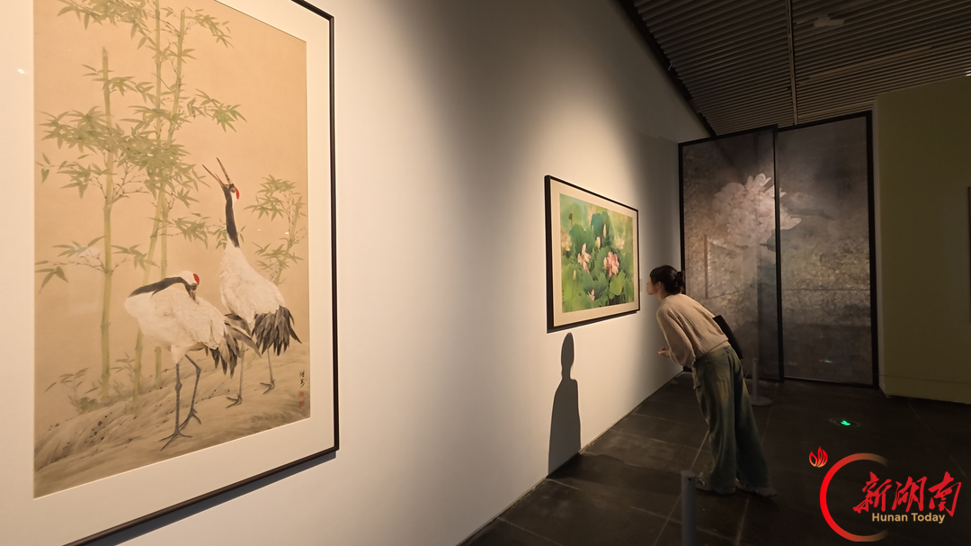 “我把‘一生’都交给了湖南美术馆”,邹传安艺术展亮相长沙