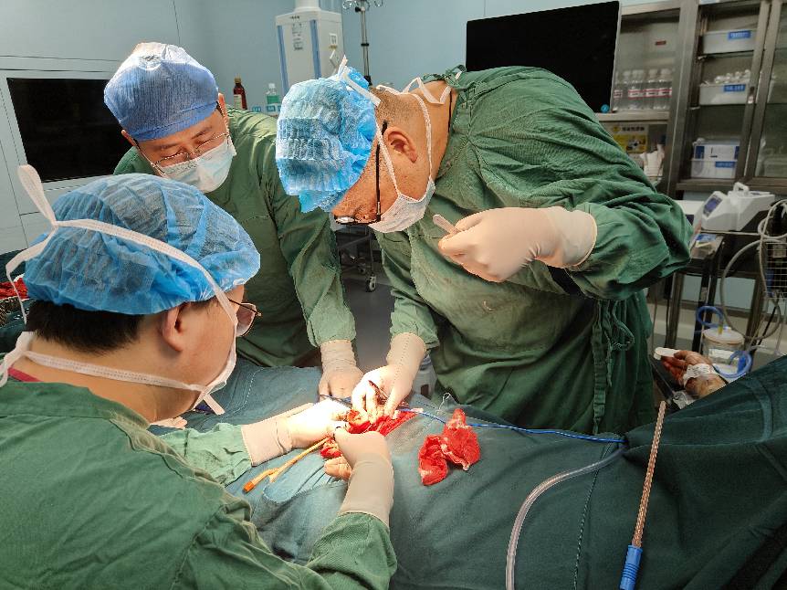 6小时显微“接续”生命尊严——郴州首例阴茎完全离断再植完全成活