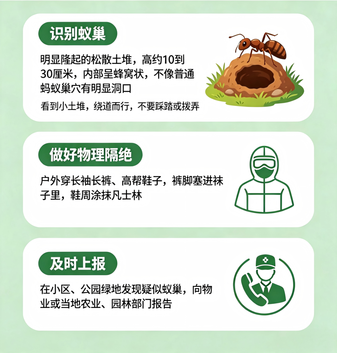 别碰、别踩!发现这种蚂蚁请立即上报