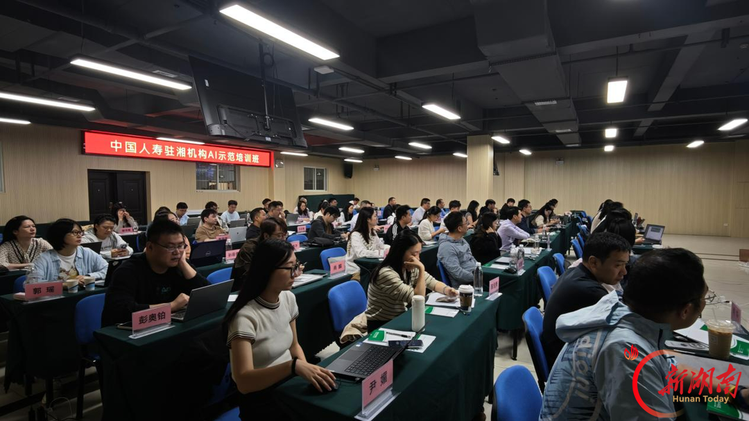 中国人寿驻湘机构AI示范培训班结训