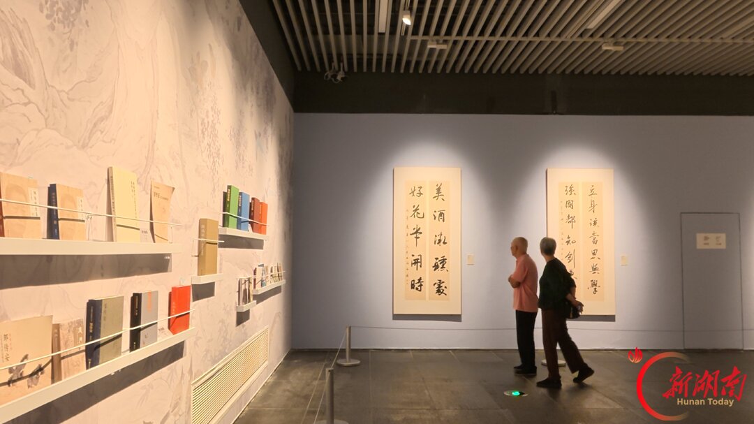 “我把‘一生’都交给了湖南美术馆”,邹传安艺术展亮相长沙