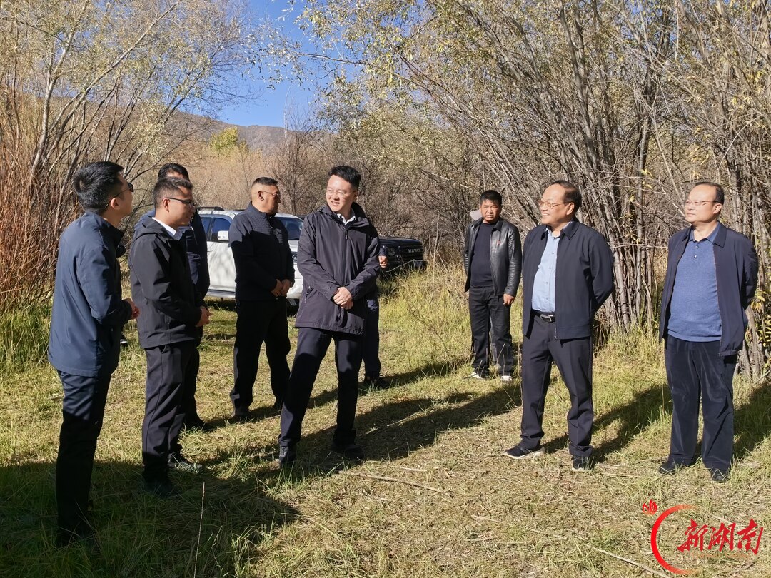 千里山水湘藏情,产业协作启新程