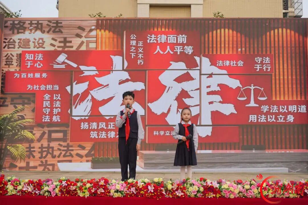 身如嘉木,共沐暖阳!石鼓区这场“家校社”三维共育课堂展示活动让孩子成长更阳光