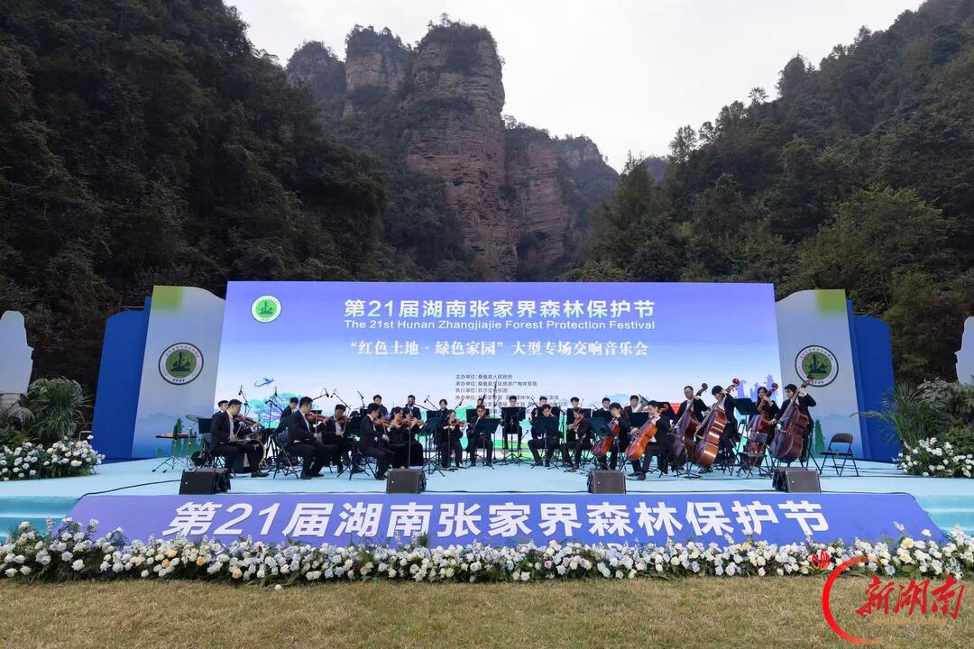 林海为幕,弦歌作答!赴一场山林里的交响之约