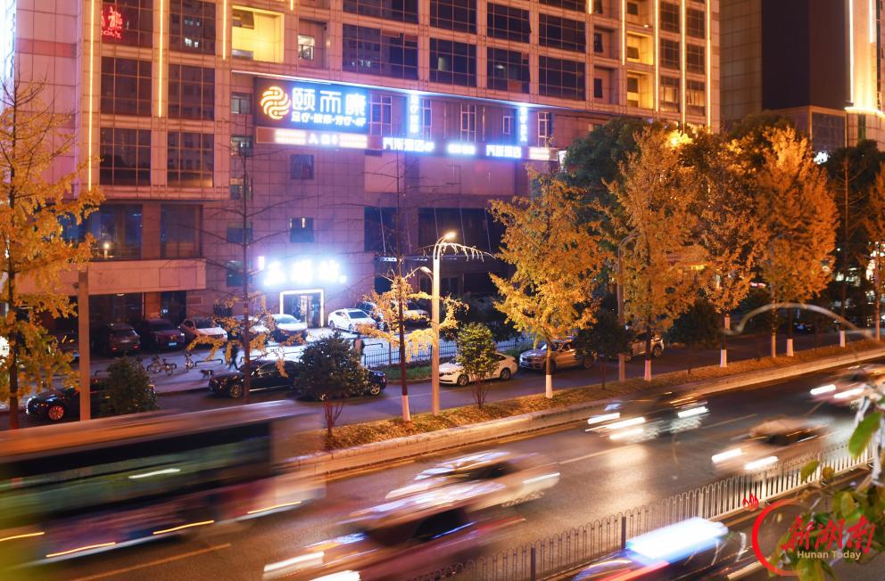 视力有边界,人生无上限——颐而康沃土上,残障青年奋力绽放