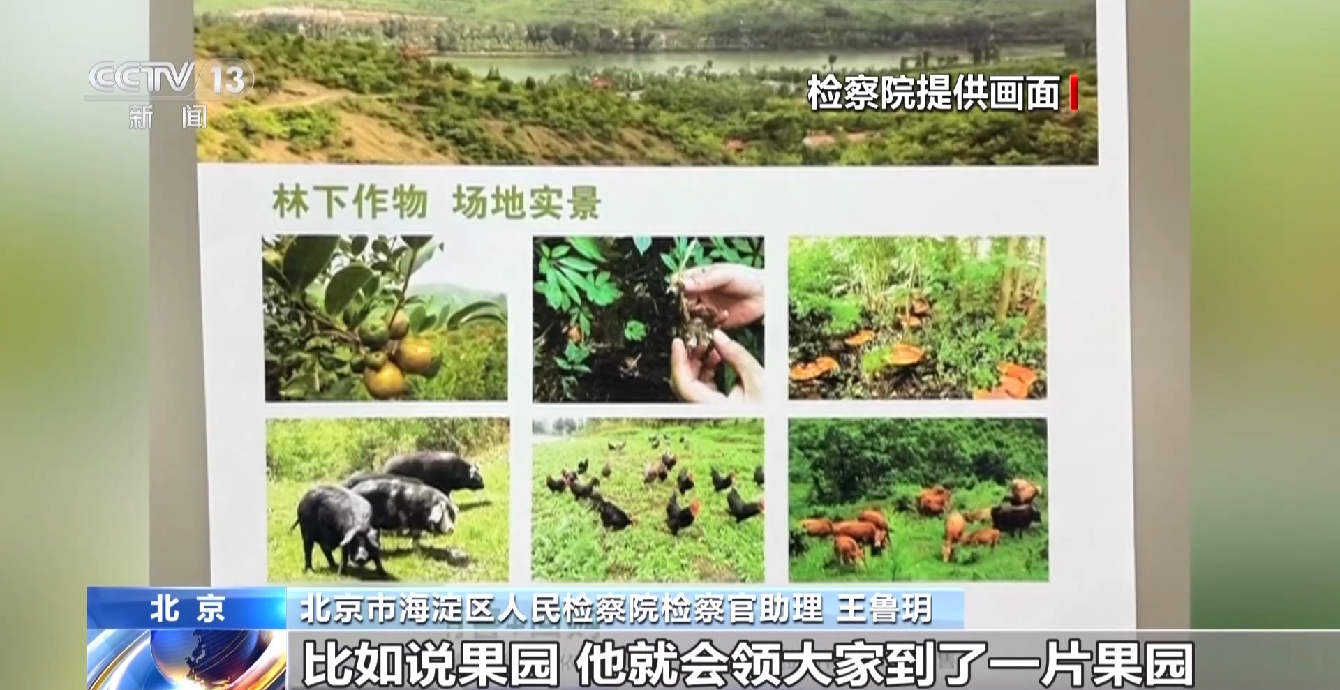法治在线丨500多人被骗1.6亿余元 起底项目投资骗局