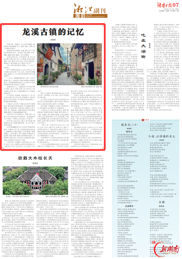 龙溪古镇的记忆丨湘江副刊·湘韵